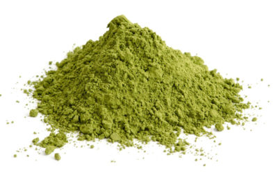 Moringa Oleifera vs Matcha: Which Superfood Powder is Right for You?