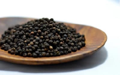 Black Pepper Benefits