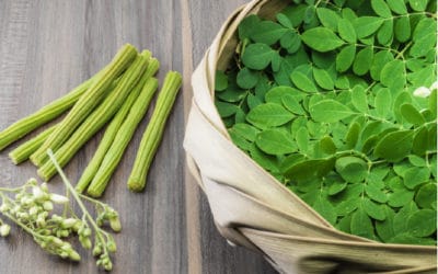 10 Surprising Health Benefits of Moringa Oleifera
